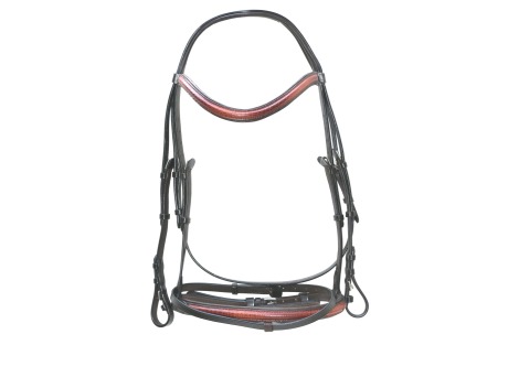 English Bridle 4038